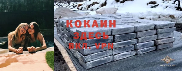 молекула духа Арсеньев