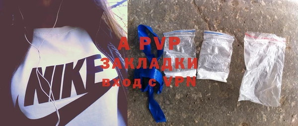 молекула духа Арсеньев