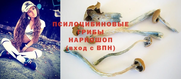 не бодяженный Алексин